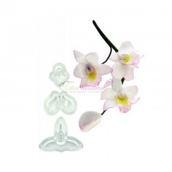 Decupatoade de mini orhidee...