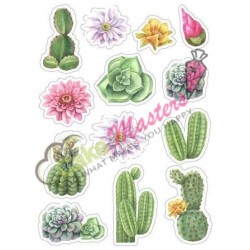 Cactus 00059